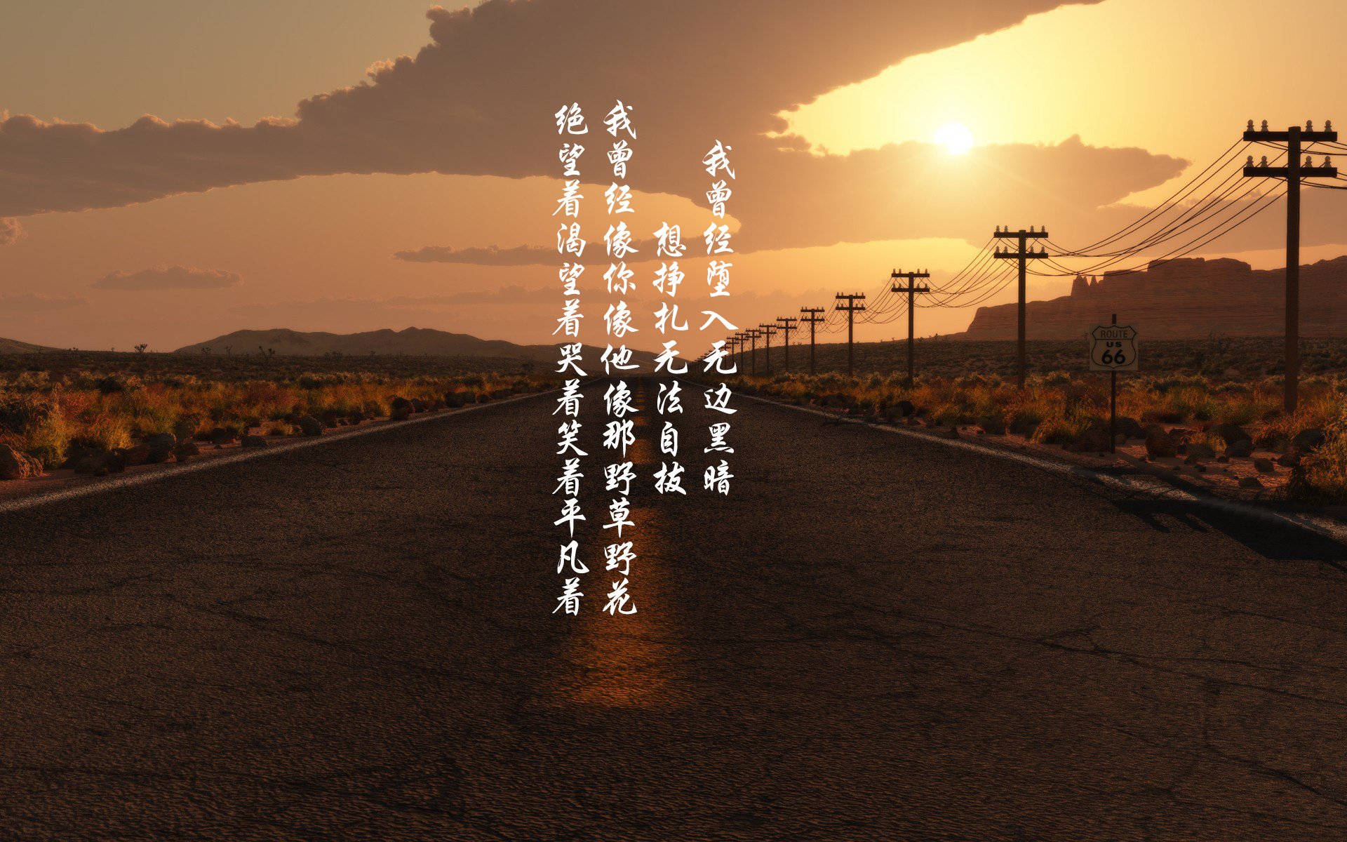 世界拳击公开赛：角落策略影响回合转换，世界拳击表演赛